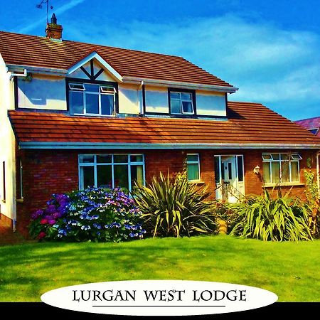 Lurgan West Lodge Randalstown Exteriör bild